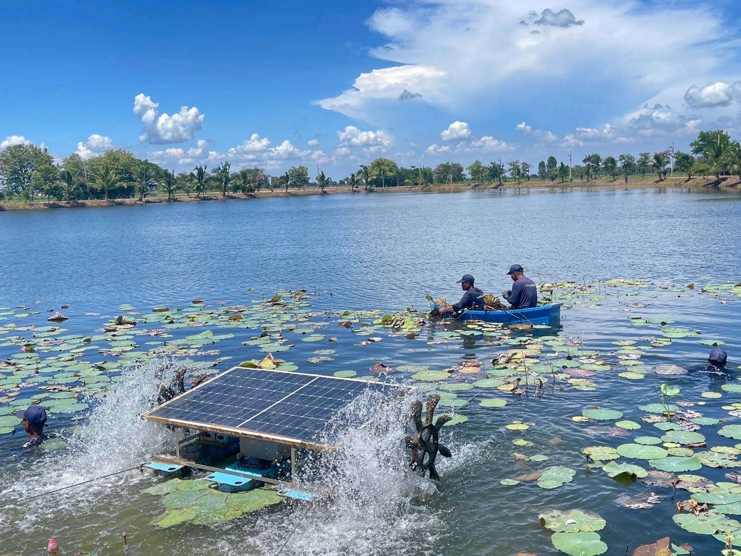 A couple of people in boats in a lake

Description automatically generated