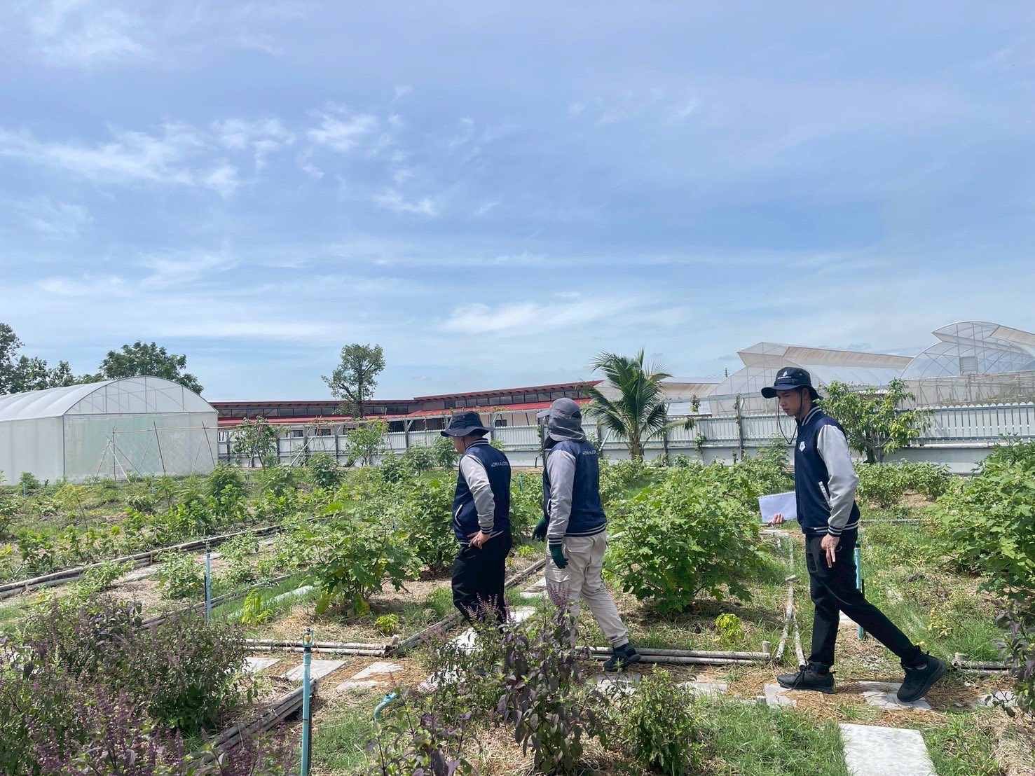 A group of men walking in a garden

Description automatically generated