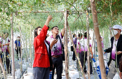 A group of people in a garden

AI-generated content may be incorrect.