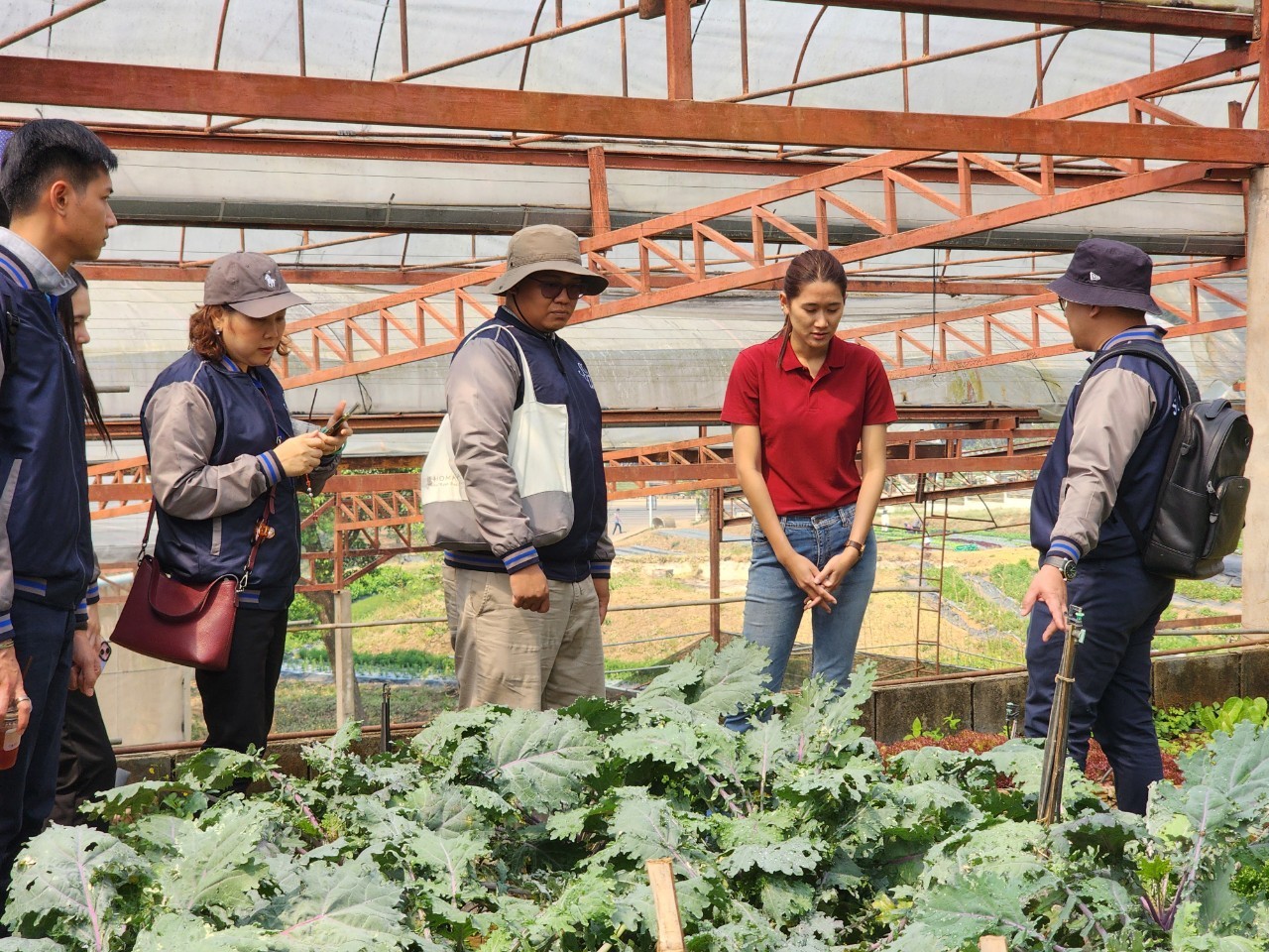 A group of people in a greenhouse

Description automatically generated