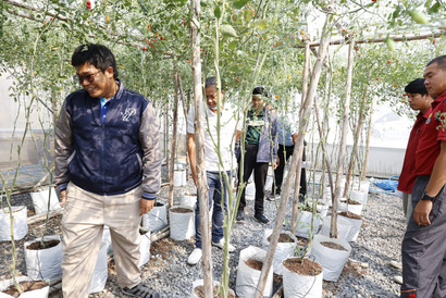 A group of people in a greenhouse

Description automatically generated
