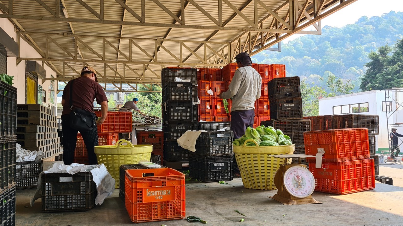 A group of people in crates

Description automatically generated