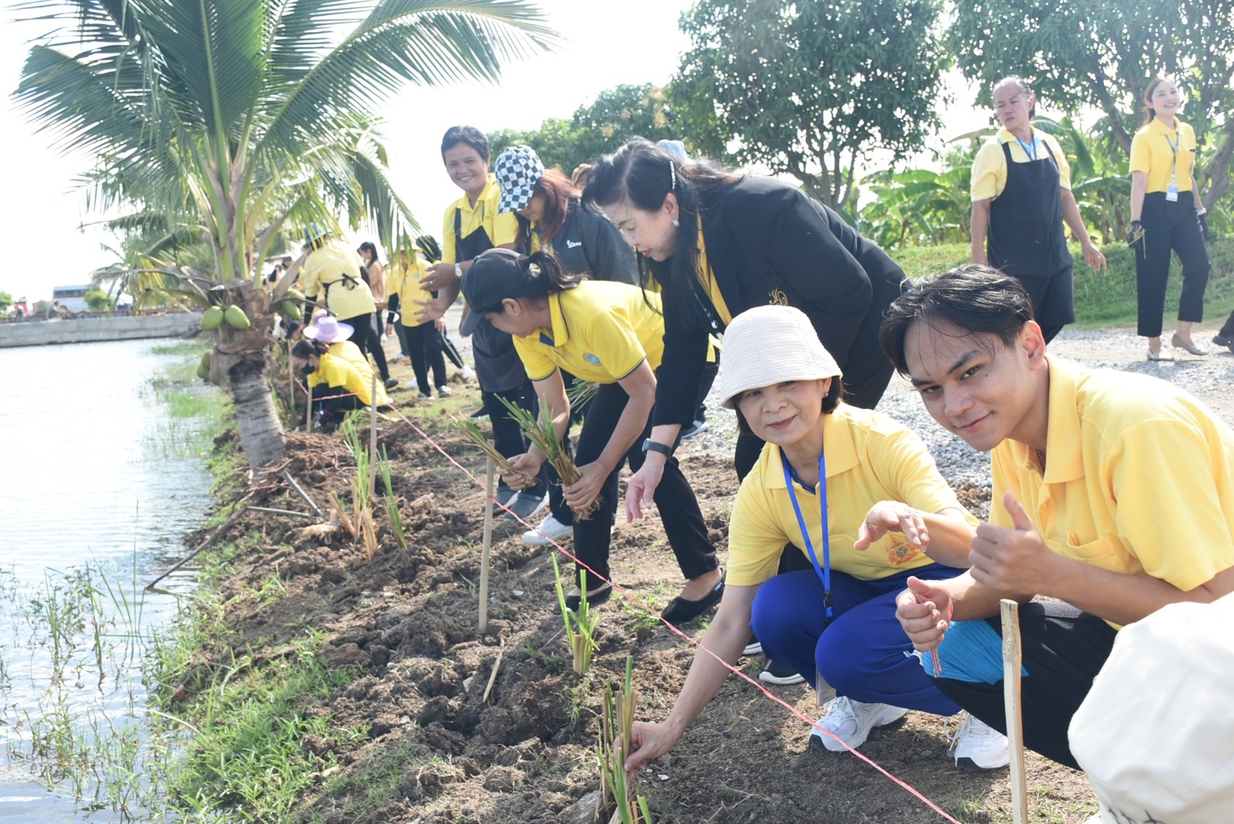 A group of people planting trees

Description automatically generated