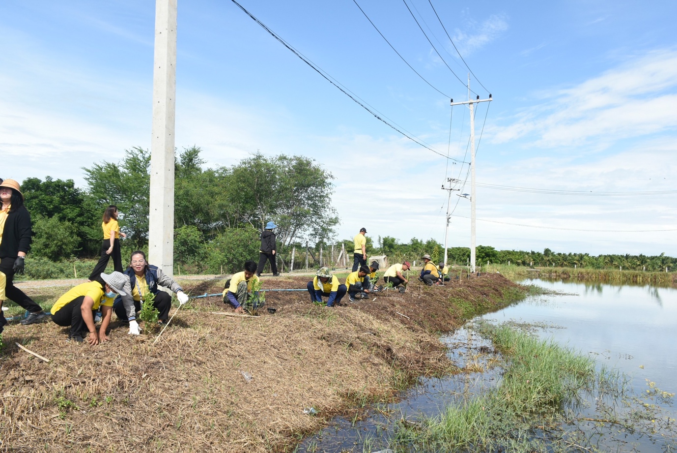 A group of people planting trees

Description automatically generated
