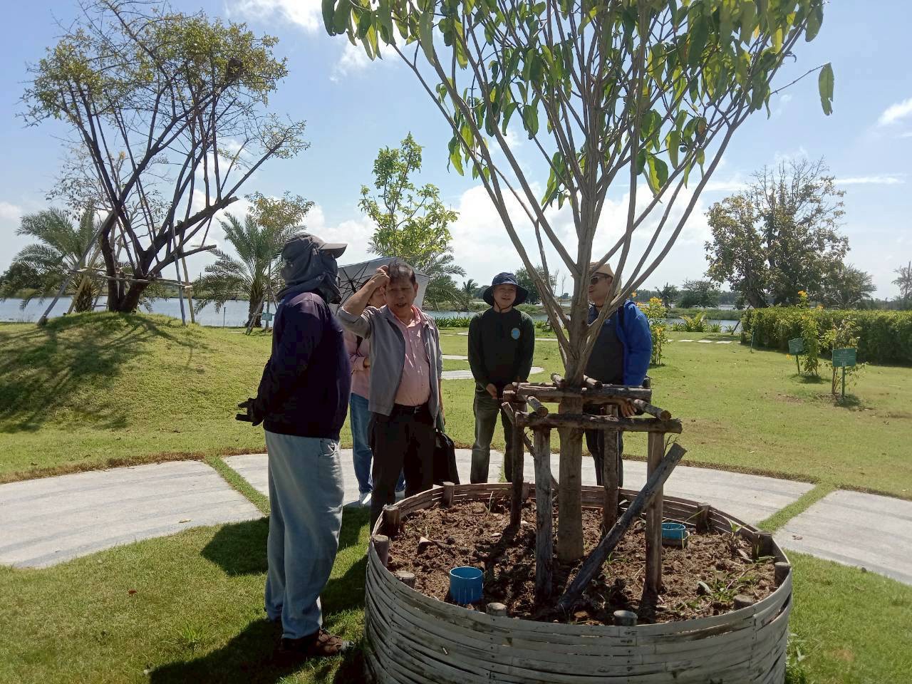 A group of people standing around a tree

Description automatically generated