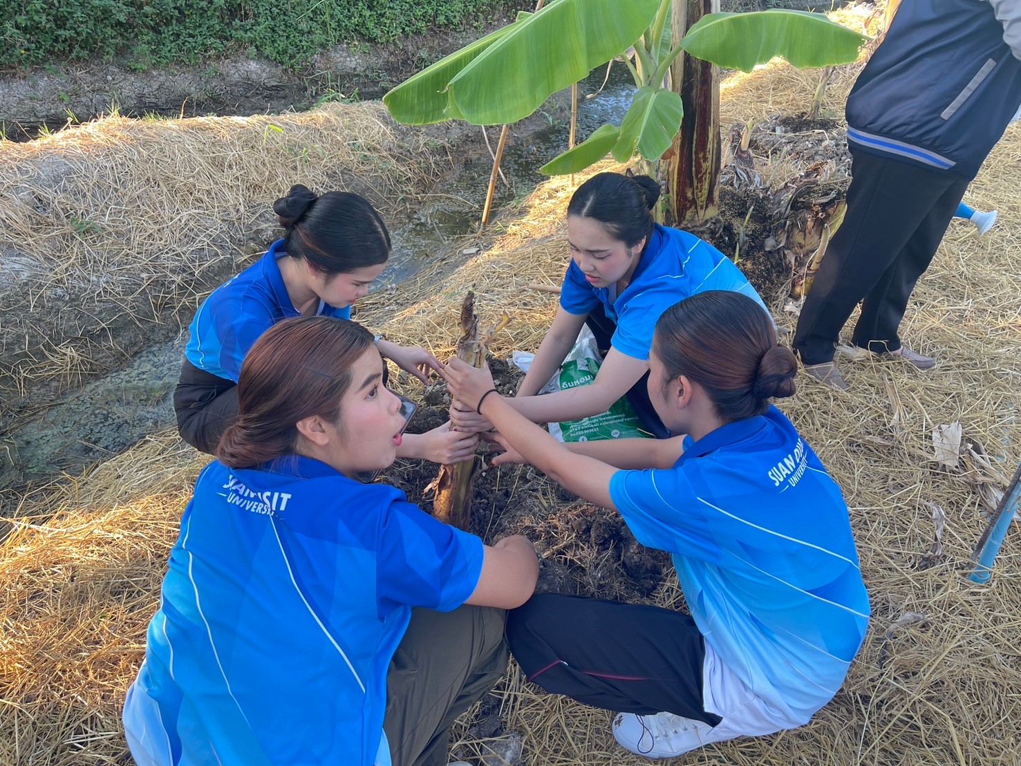 A group of women in blue shirts

Description automatically generated