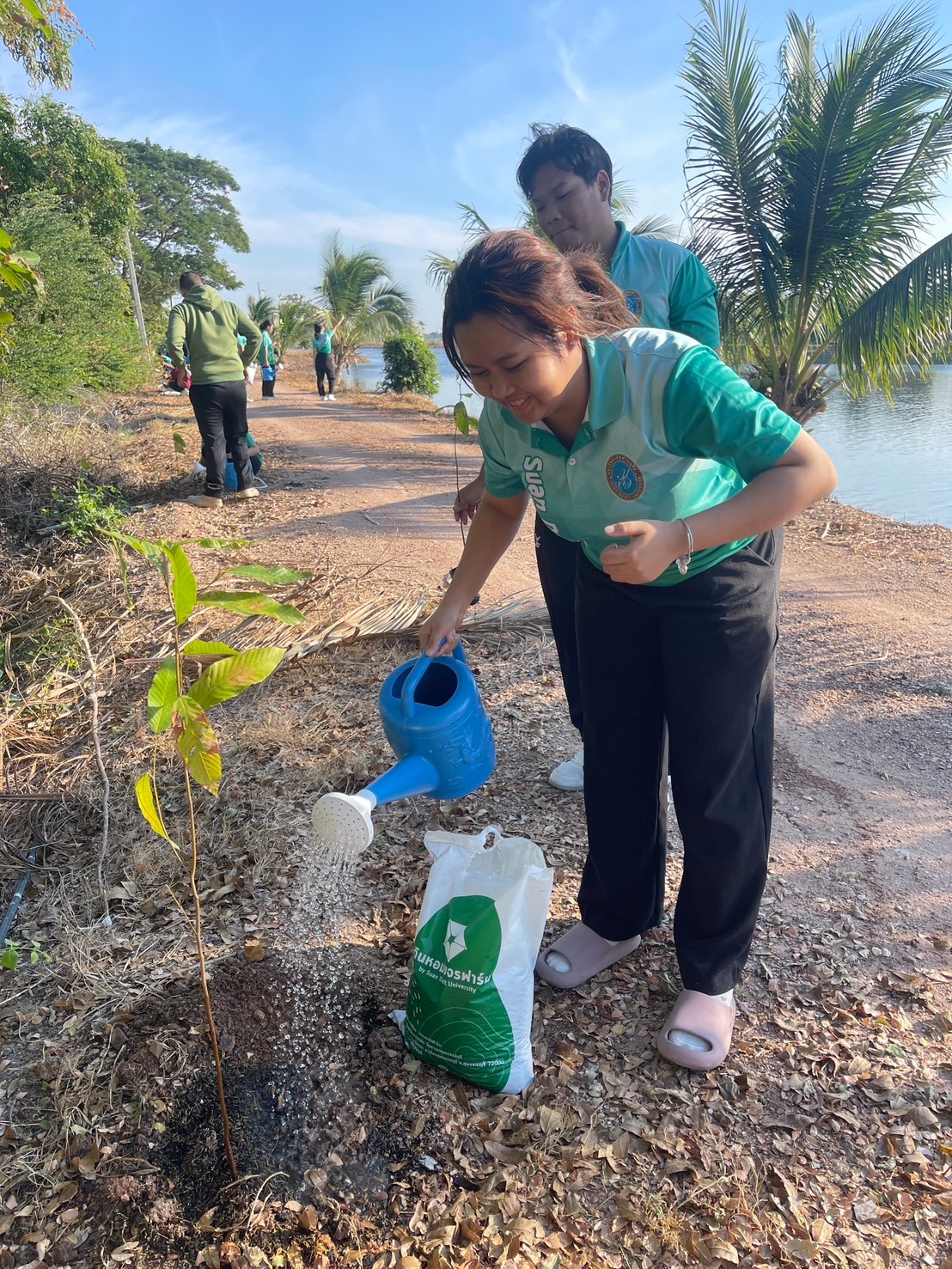 A person watering a plant
Description automatically generated