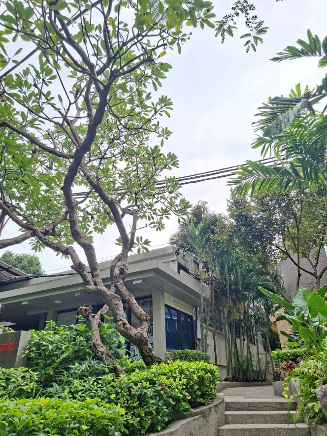 C:\ptd\THE Impact Rankings\2026\SDG 6\พรรณไม้ มสด\664304_0.jpg