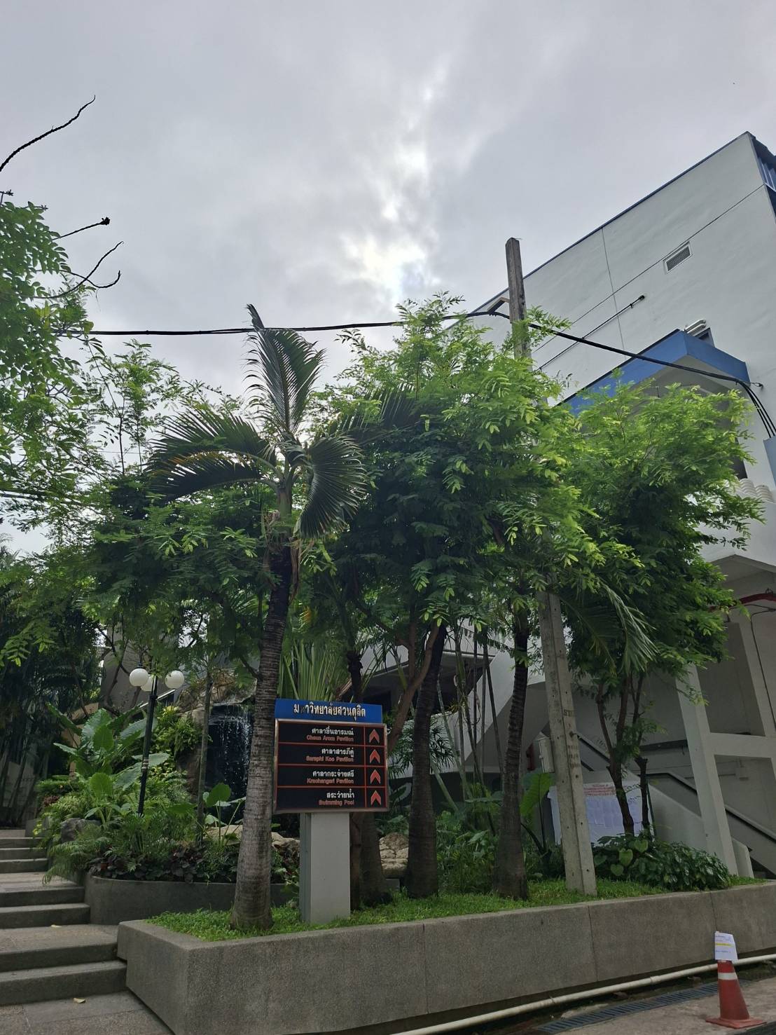 C:\ptd\THE Impact Rankings\2026\SDG 6\พรรณไม้ มสด\664305_0.jpg