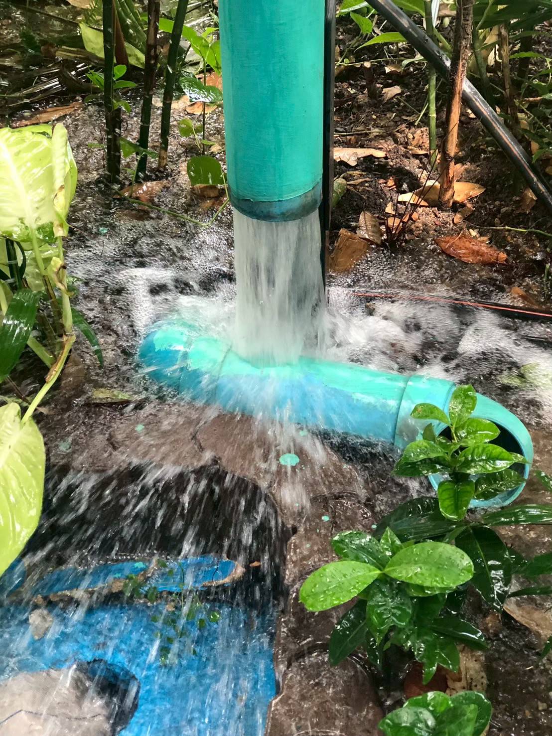 C:\ptd\THE Impact Rankings\2026\SDG 6\ล้างถังประปา\210281_0.jpg