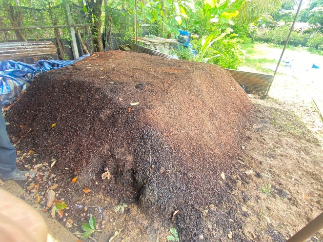 D:\226 โครงการรับรองตรา B mark Bedo\9.รายงานงวด 2\รายละเอียด\รูปตรวจประเมิน\วิสาหกิจชุมชนเกษตรอินทรีย์ แม่จริม\LINE_ALBUM_วิสาหกิจชุมชนเกษตรอินทรีย์ อ.แม่จริม น่าน_240922_63.jpg